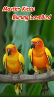 Master Kicau Lovebirds পোস্টার