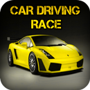 Crazy Driver APK