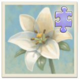 Inner Garden: Victorian Houses