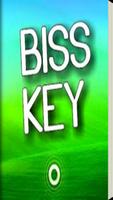 Biss Keys poster