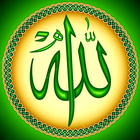 Durood Shareef 2016 biểu tượng