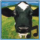 Cow Sounds أيقونة