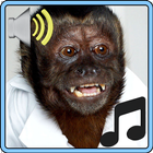 Monkey Sounds Zeichen