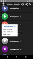 Monkey Sounds скриншот 1