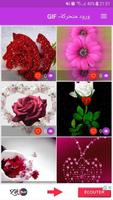 صور باقات زهور متحركة GIF Affiche
