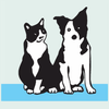 back bay veterinary hospital back bay veterinary hospital