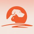 Sun City Animal Hospital