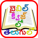 Bible quiz in telugu - బైబిల్ క్విజ్ లో తెలుగులో APK
