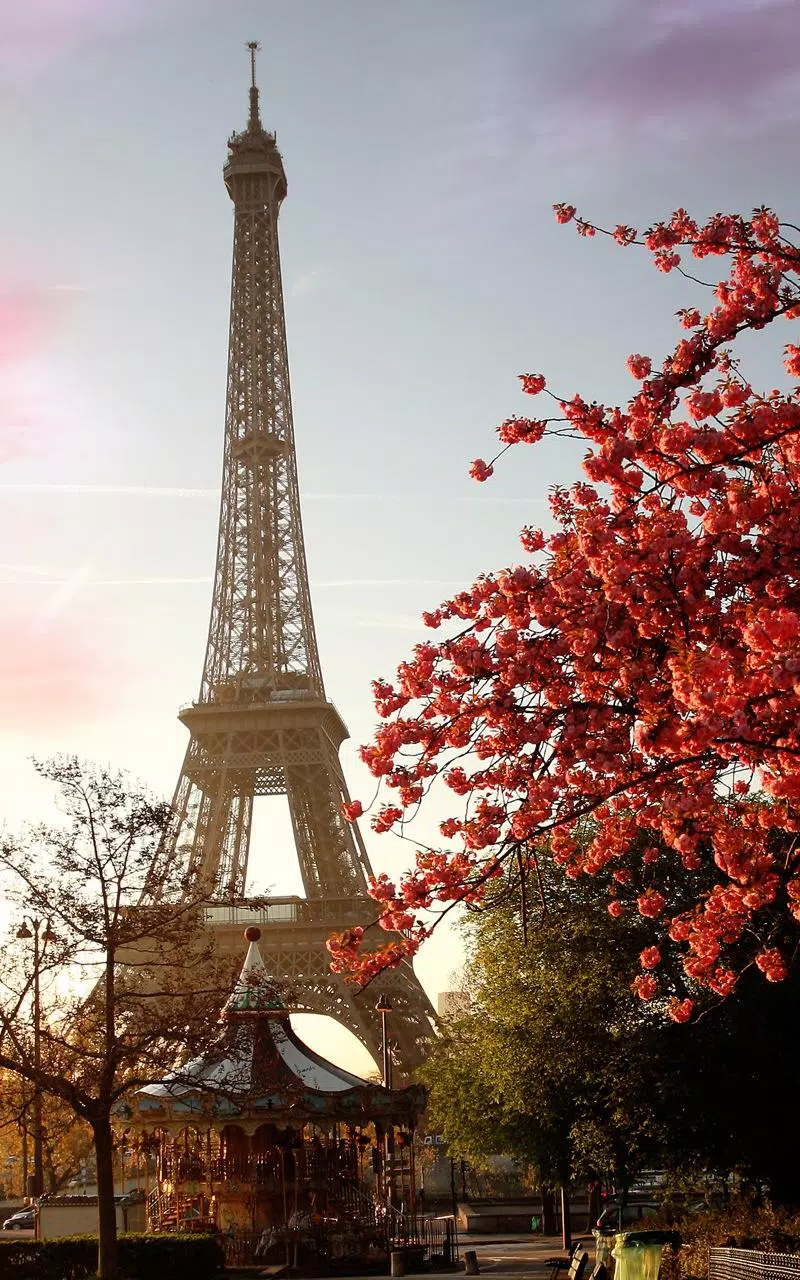 Paris Wallpaper APK for Android Download