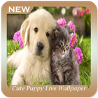 Cute Puppy Live Wallpaper icône