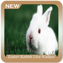 Easter Rabbit Live Wallpaper APK