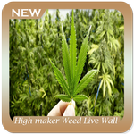 High maker Weed Live Wallpaper APK
