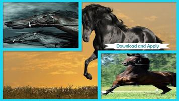 Horses Live Wallpaper HD poster
