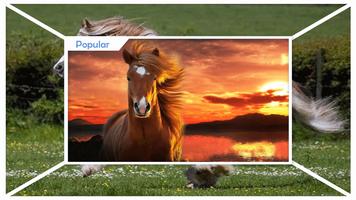 Horses Live Wallpaper HD screenshot 1