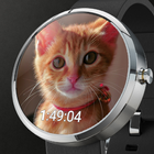 Cute Cats Watchface simgesi