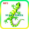 Mp3 Suara Tokek