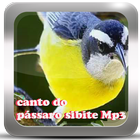 Canto do Pássaro Sibite mp3 ikona