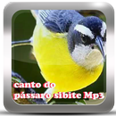 Canto do Pássaro Sibite mp3 APK