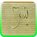 Surah Yaseen mp3 APK