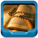 Al-Quran 114 Surat MP3 APK