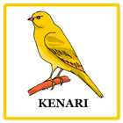 Kicau Kenari icône