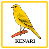 Kicau Kenari icon