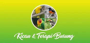 Terapi & Kicau Burung Lengkap