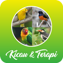 Terapi & Kicau Burung Lengkap APK