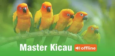 Master Kicau Burung Offline