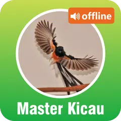 Master Kicau Burung Offline APK 下載