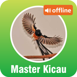 Master Kicau Burung Offline 图标