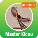 Master Kicau Burung Offline APK