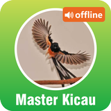 Master Kicau Burung Offline icon