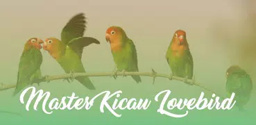 Master Kicau Lovebird Offline