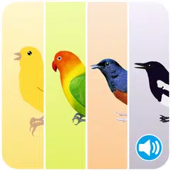 Masteran Kicau Burung Terlengk XAPK 下載