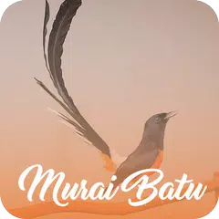 Masteran Murai Batu Offline APK download
