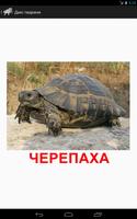 Ukrainian flashcards - Animals screenshot 1