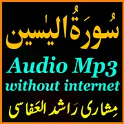 New Surah Yaseen Audio Alafasy