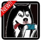 Puppy puzzle game:Husky War icône