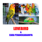 BETERNAK LOVEBIRD 圖標