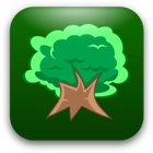 Dylan Tree Memorabilia Store icono