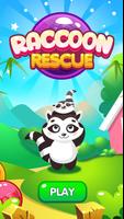 Raccoon Rescue Cartaz