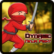 ”Dynamic Ninja Fight