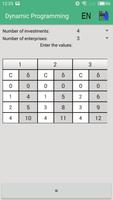 Dynamic Programming captura de pantalla 3