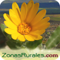 ZonasRurales (casas rurales)
