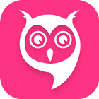 Owl Sliding Down ikona