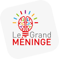 Le Grand Méninge
