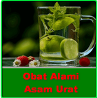 Obat Alami Asam Urat icône