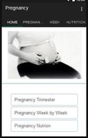 Pregnancy & Maternity poster