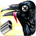 Crow Hunt